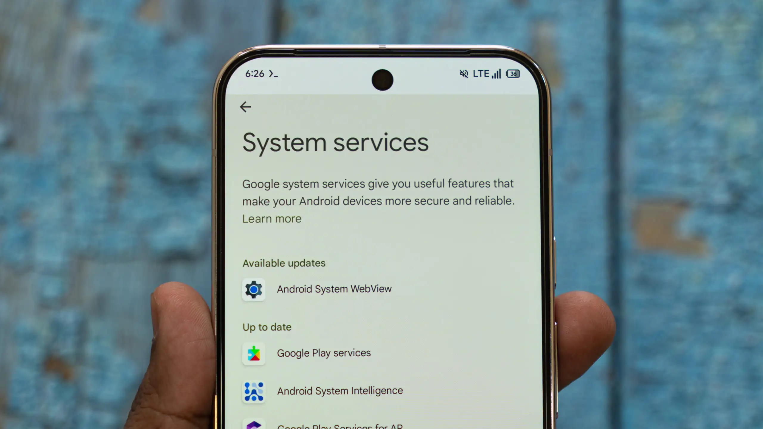 Ponsel Android menampilkan Google Play Store dan layanan sistem yang diperbarui